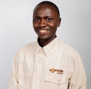 Picture of Augustino