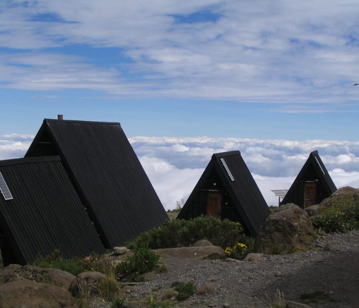 6 Days Marangu route congema horombo hut day 2