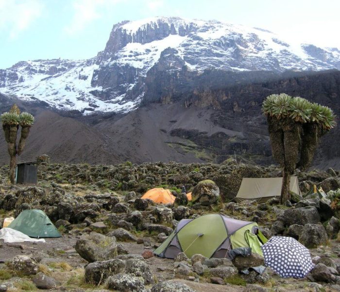 7 Days Machame Route day 1