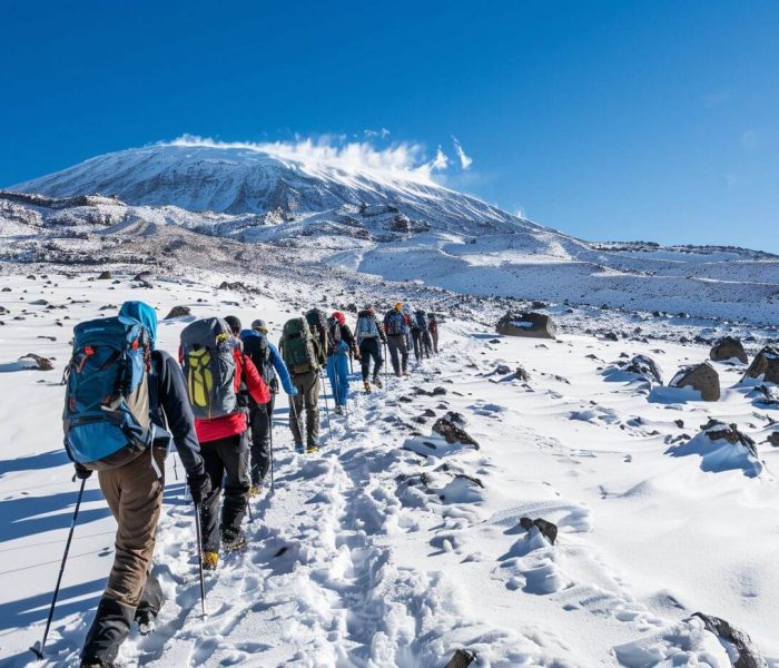 7 days Machame Route congema summit