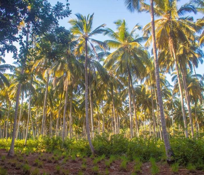 Capture memorable moments with amazing photos throughout the tour. (1) (1)