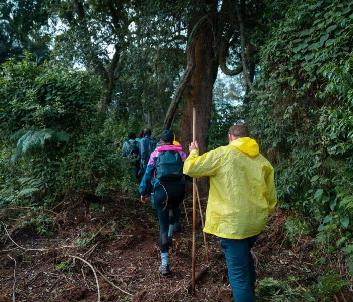 Essential Packing List for Gorilla Trekking Group 2