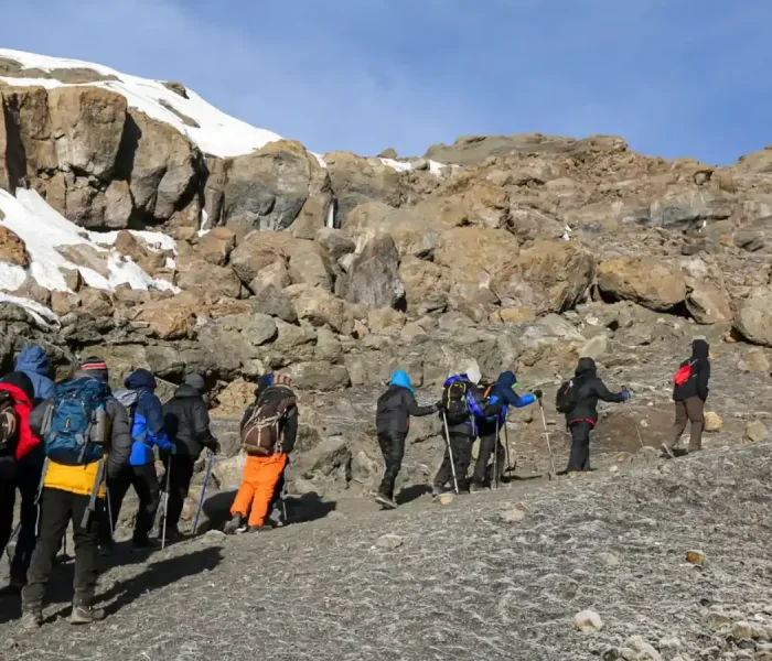 Horombo Hut to Marangu Gate (1)