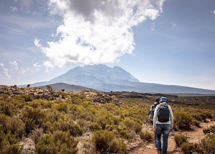 How To Get To Kilimanjaro3