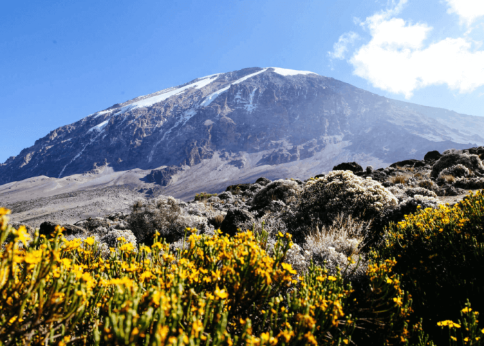 Kilimanjaro-Climbing-Lemosho-Route