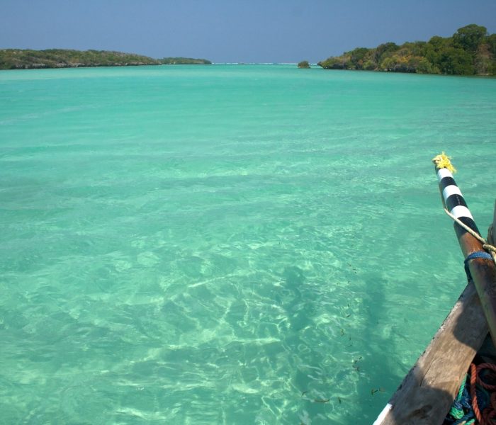 Mafia-Island-Marine-Park2