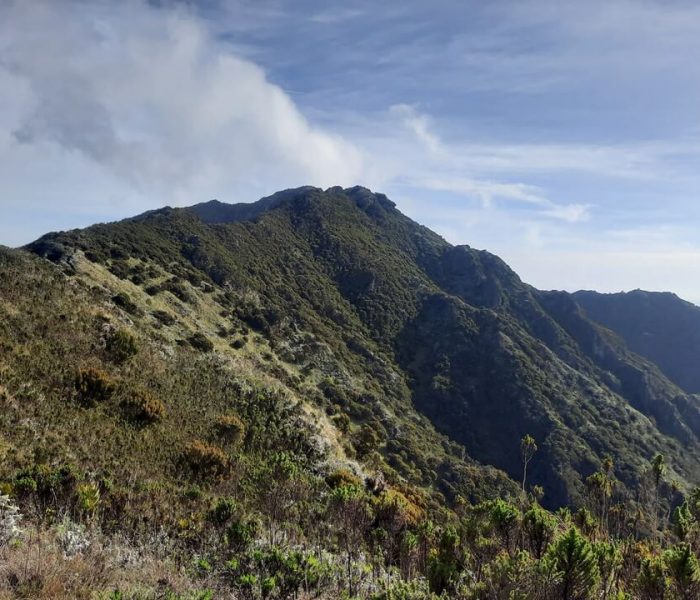 Mount Hanang Nature Forest Reserve2