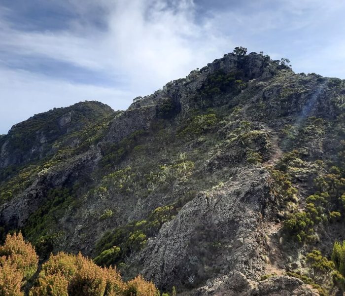 Mount Hanang Nature Forest Reserve5