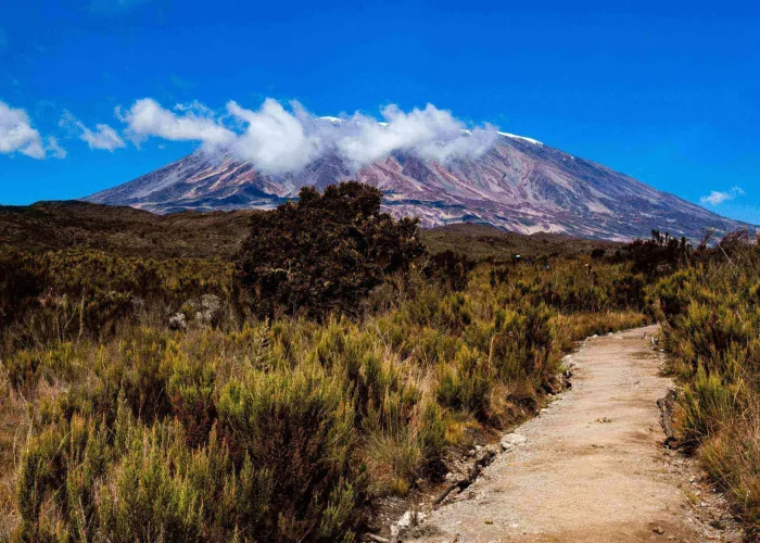 Mount Kilimanjaro