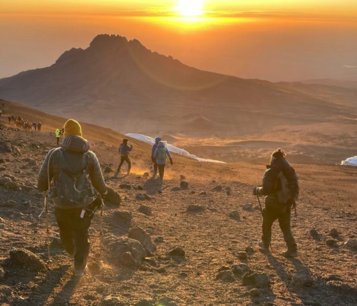 Northern Circuit Kilimnjaro