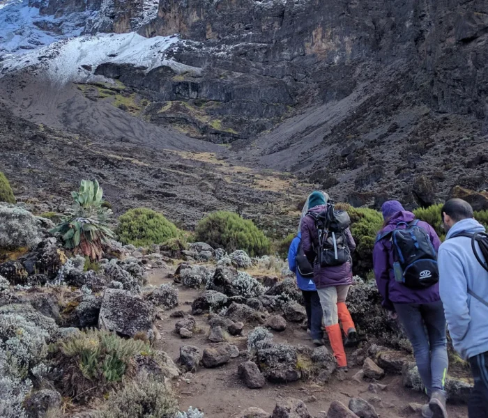 Northern Circuits Kilimanjaro