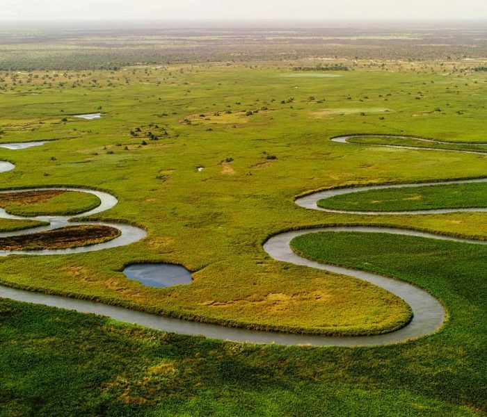 Okavango Delta river