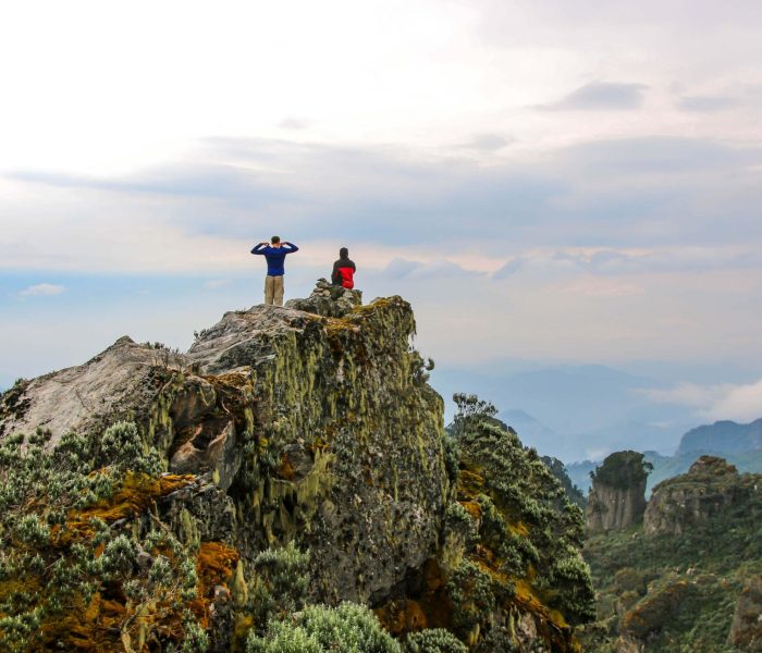 Rwenzori-Mountains-Moon