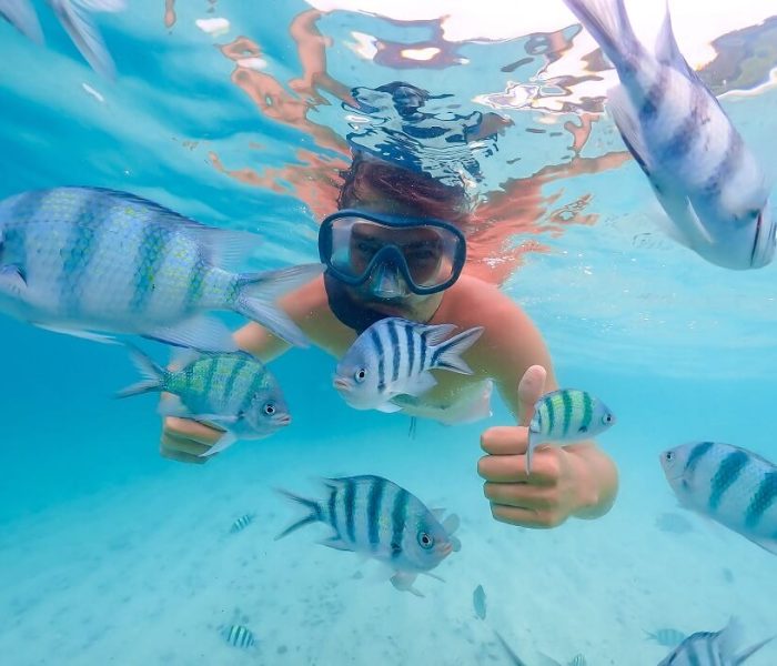 Snorkeling-mnemba (1)