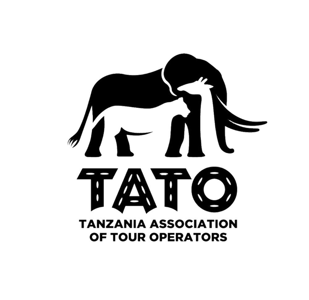 TATO-01