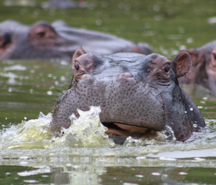 Tourist-activities-in-Lake-Mburo