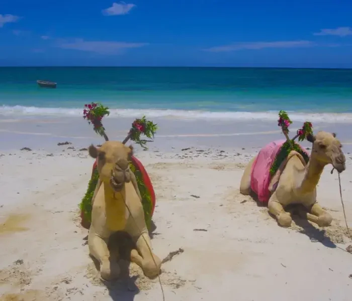 What-to-see-and-do-in-Mombasa