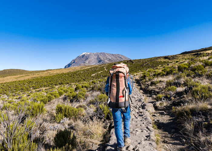 When-Is-the-Best-Time-to-Climb-Kilimanjaro (1)