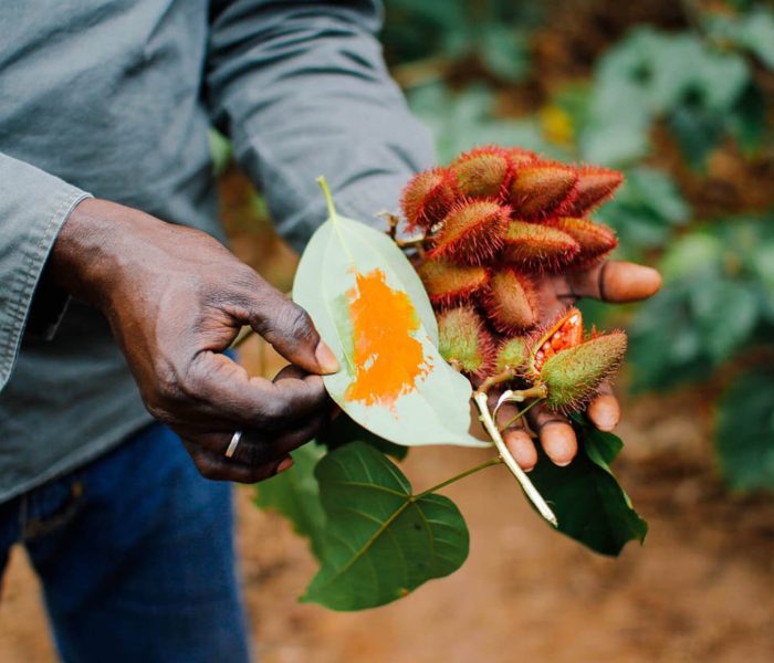 Zanzibar-Spice-Tour-01