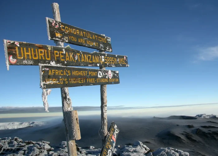 climbing mount kilimanjaro 2