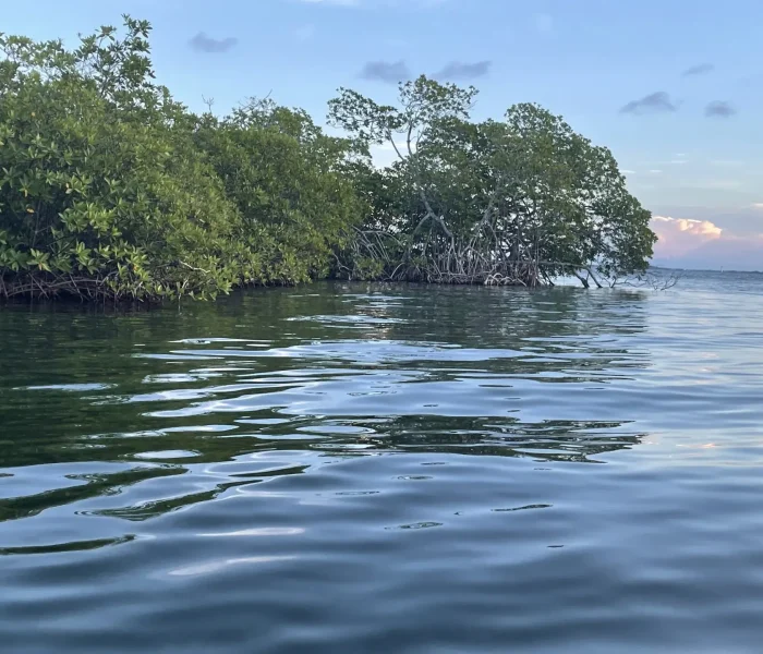 eco-adventure to the itinerary