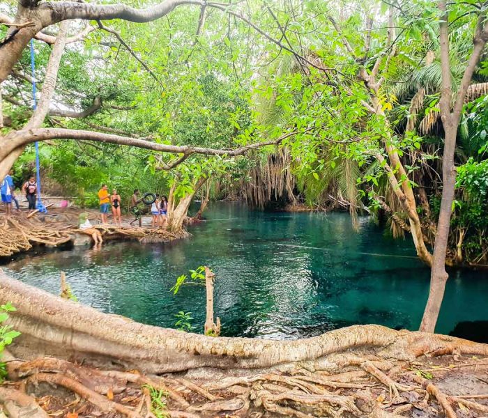 hot-springs-in-moshi (1)