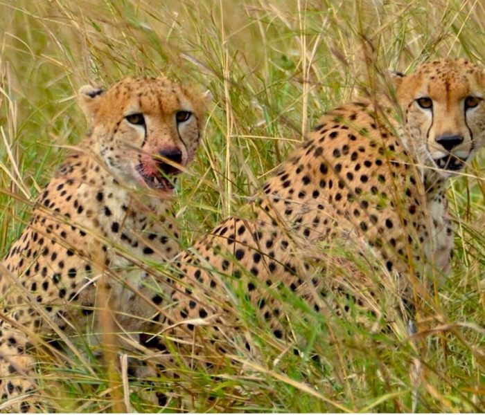 journey-to-Kidepo-Valley