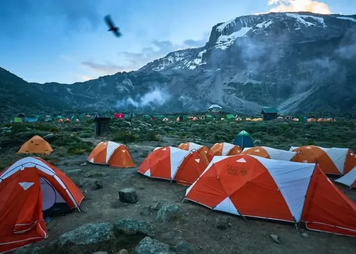 kilimanjaro-camp-1