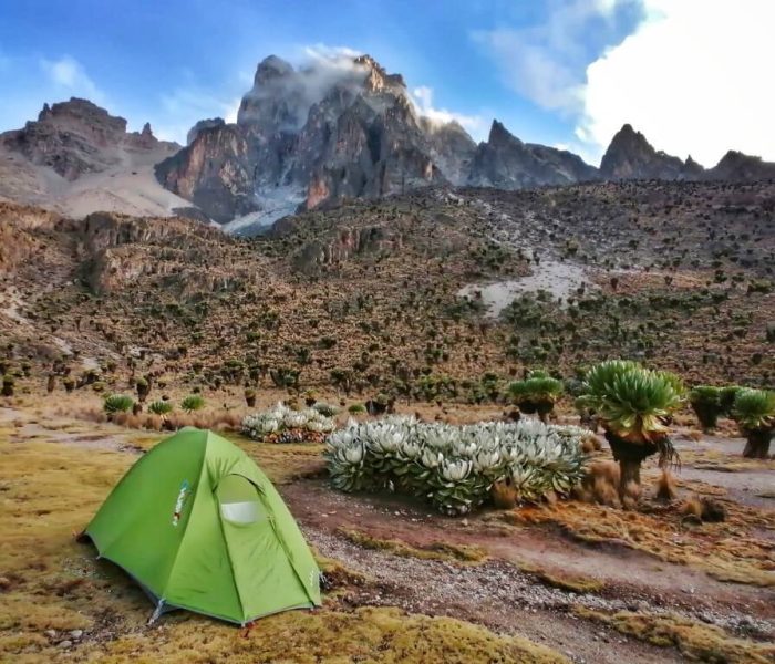 maunt kenya national park 2