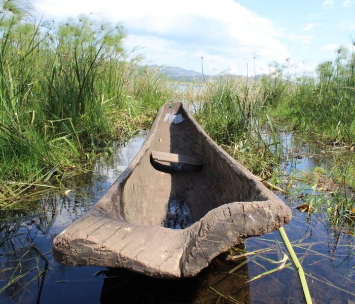 wildlife at Lakes of Mutanda and Bunyonyi9