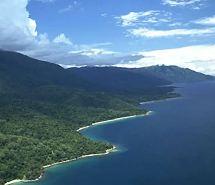 wildlife at Mahale National Park8