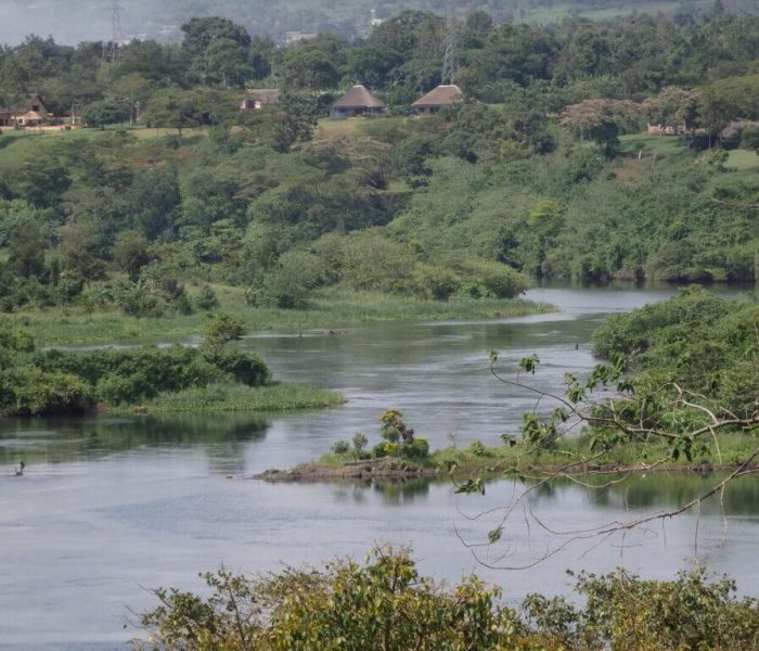 wildlife in mgahinga gorilla national park2